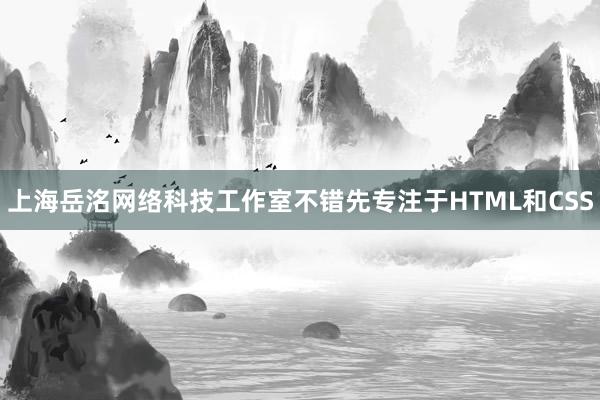 上海岳洺网络科技工作室不错先专注于HTML和CSS